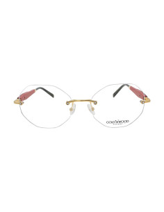 IRIS02-K06-A78-AuRo-M